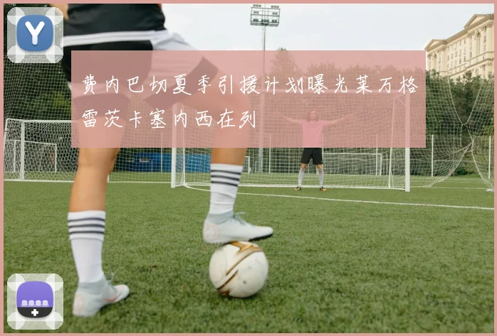 费内巴切夏季引援计划曝光莱万格雷茨卡塞内西在列